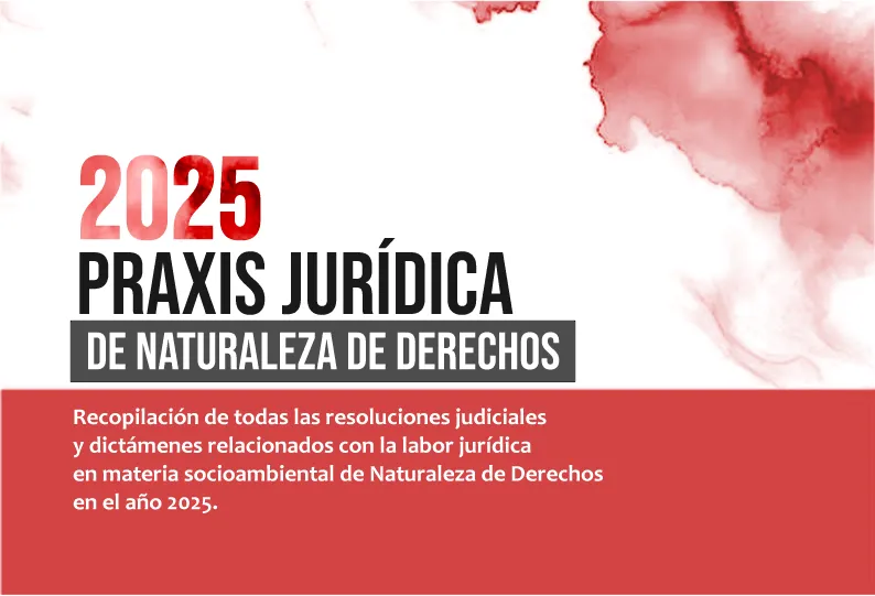Imagen2erfds