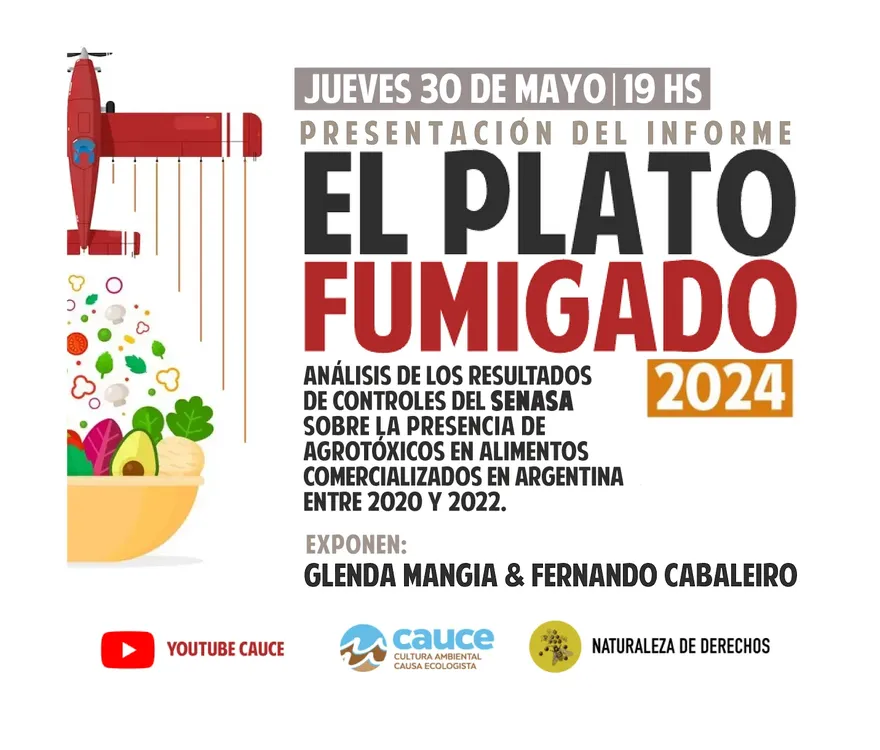 PLATO 4