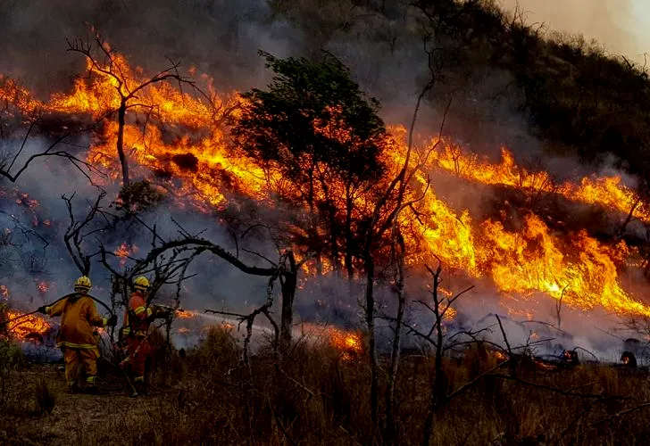 Manejo del Fuego en Argentina.